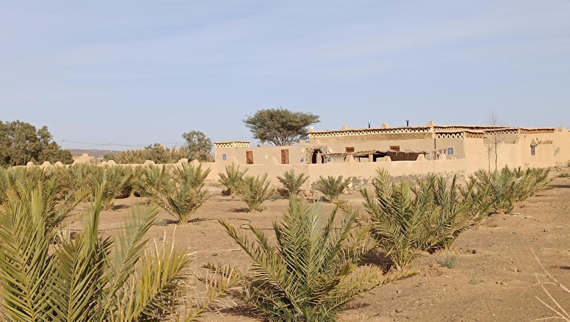 Kasbah Luna Del Sur Erfoud Exteriör bild
