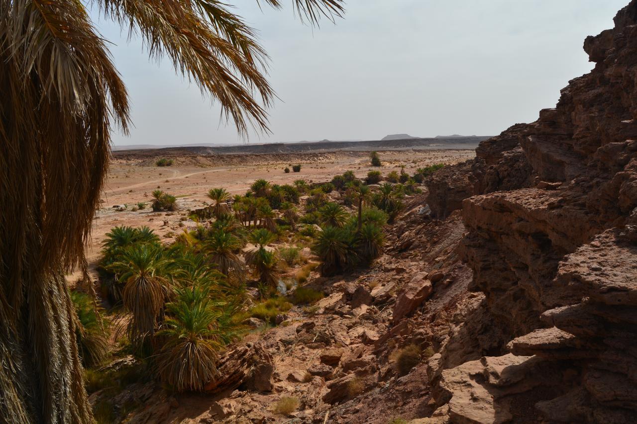 Kasbah Luna Del Sur Erfoud Exteriör bild